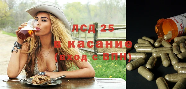 крисы Бугульма