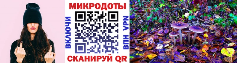 закладки  Новопавловск  Галлюциногенные грибы MAGIC MUSHROOMS 